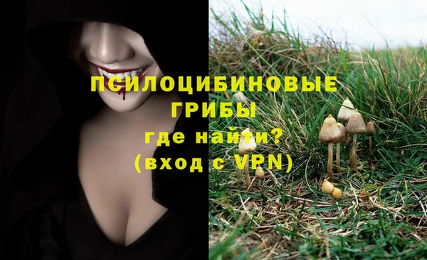 тгк Ладушкин