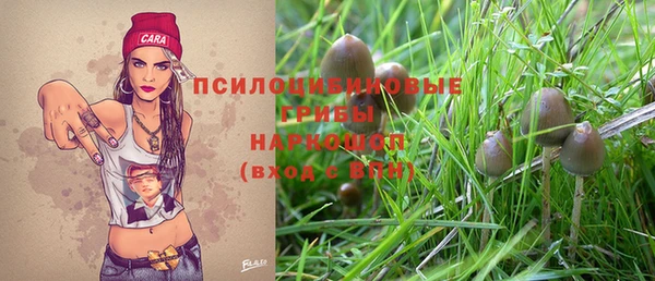стаф Лагань