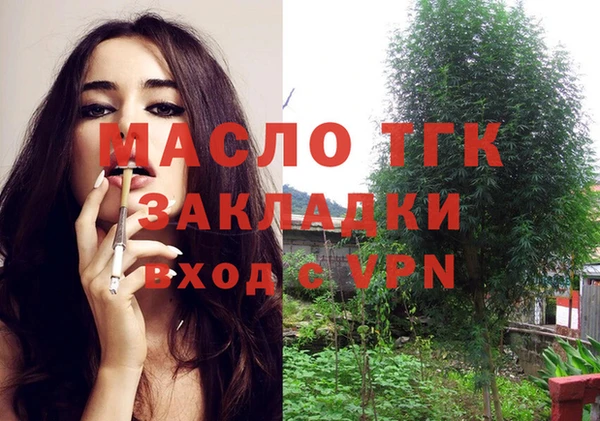 тгк Ладушкин