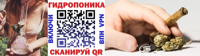 Бошки марихуана гибрид  Мелеуз 